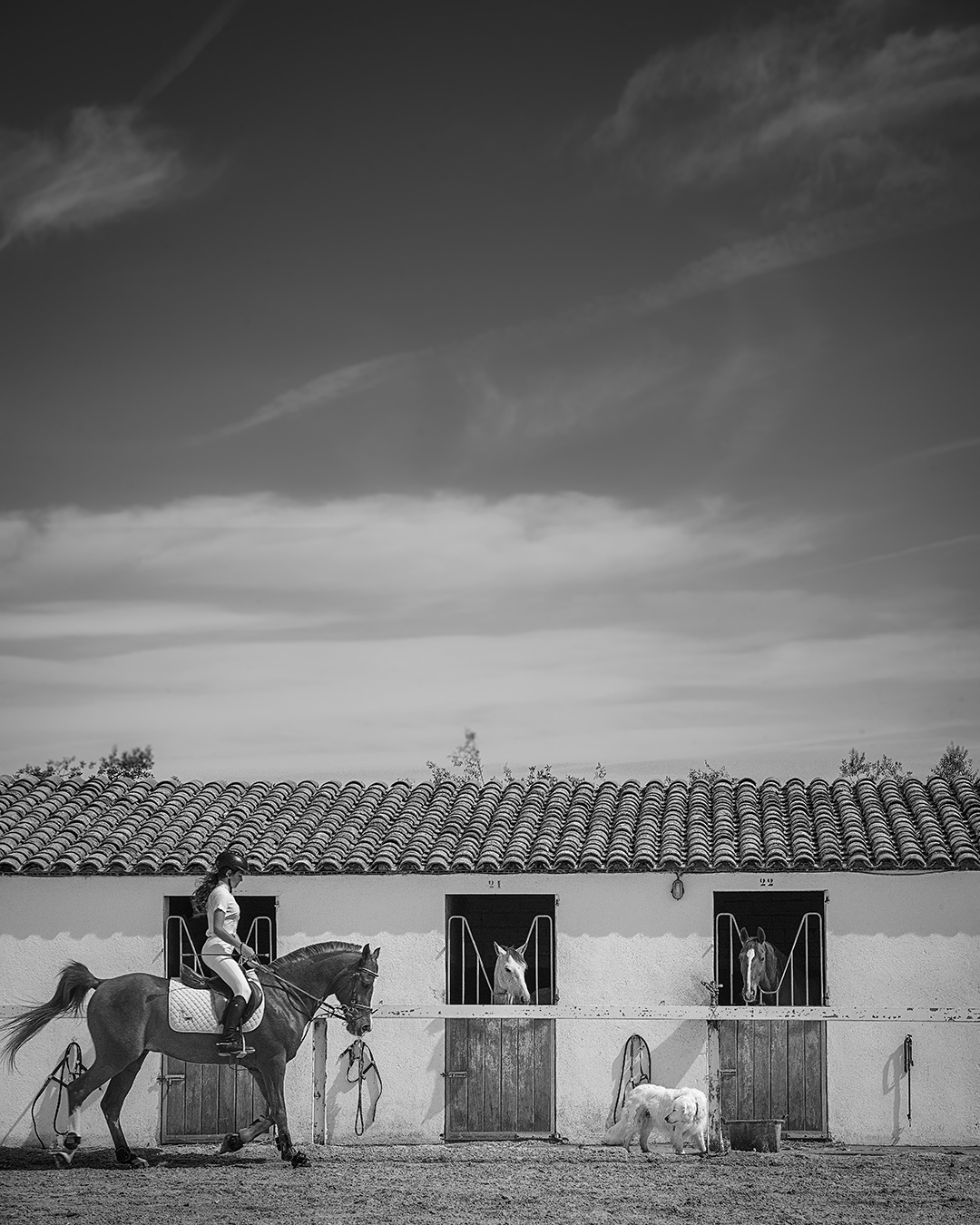 Proyecto 10